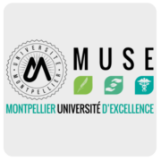 Logo Muse Rounded